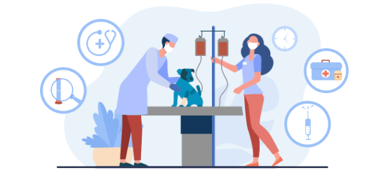 Veterinárne služby