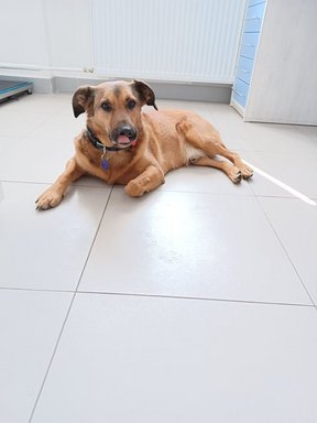 Spokojný zákazník